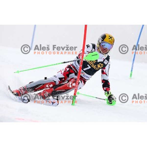 Marcel Hirscher (AUT) winner of AUDI FIS Ski World Cup Slalom for 55.Vitranc Cup in Kranjska gora, Slovenia on March 6, 2016