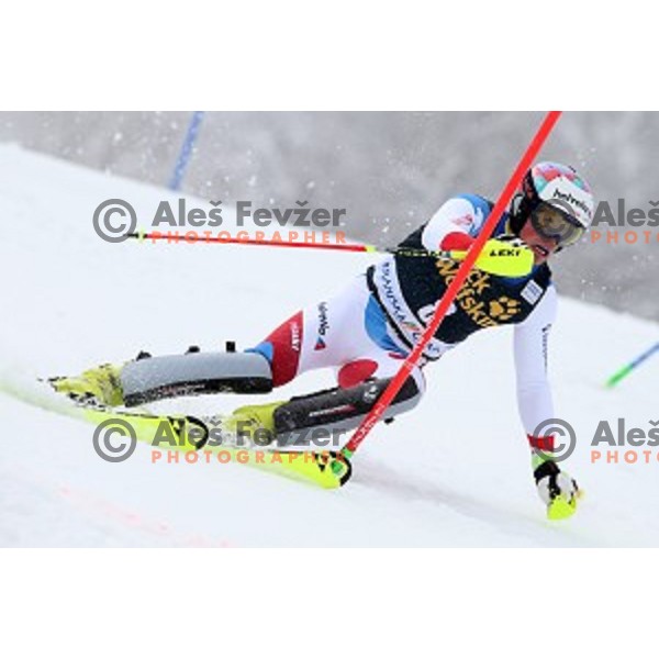 Daniel Yule (SUI) at AUDI FIS Ski World Cup Slalom for 55.Vitranc Cup in Kranjska gora, Slovenia on March 6, 2016