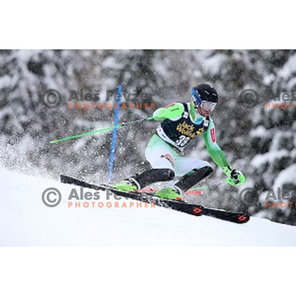Matic Skube (SLO) skiing at AUDI FIS Ski World Cup Slalom for 55.Vitranc Cup in Kranjska gora, Slovenia on March 6, 2016