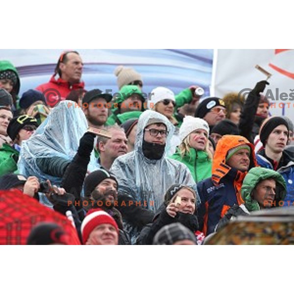 AUDI FIS Ski World Cup Slalom for 55.Vitranc Cup in Kranjska gora, Slovenia on March 6, 2016