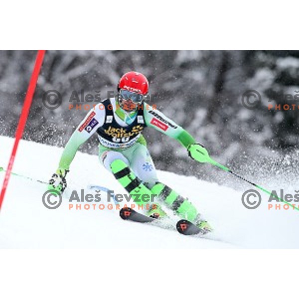 Miha Kuerner (SLO) skiing in first run of AUDI FIS Ski World Cup Slalom for 55.Vitranc Cup in Kranjska gora, Slovenia on March 6, 2016