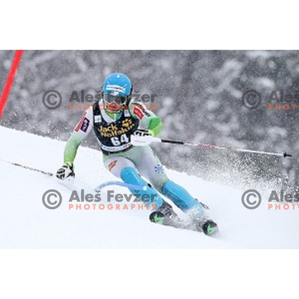 Jakob Spik (SLO) skiing in first run of AUDI FIS Ski World Cup Slalom for 55.Vitranc Cup in Kranjska gora, Slovenia on March 6, 2016