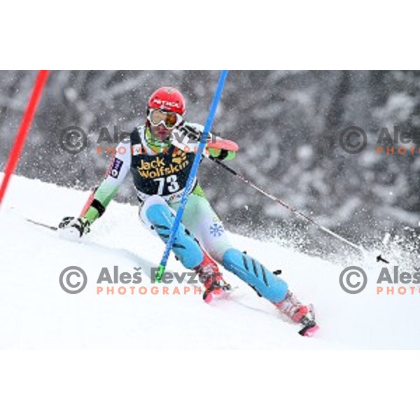 Klemen Kosi (SLO) skiing in first run of AUDI FIS Ski World Cup Slalom for 55.Vitranc Cup in Kranjska gora, Slovenia on March 6, 2016