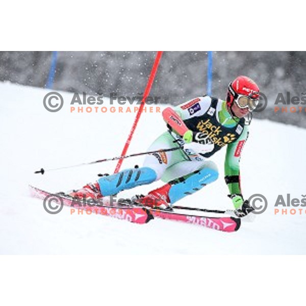 Klemen Kosi (SLO) skiing in first run of AUDI FIS Ski World Cup Slalom for 55.Vitranc Cup in Kranjska gora, Slovenia on March 6, 2016