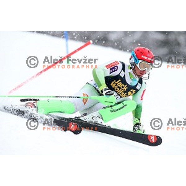 Zan Kranjec (SLO) skiing in first run of AUDI FIS Ski World Cup Slalom for 55.Vitranc Cup in Kranjska gora, Slovenia on March 6, 2016