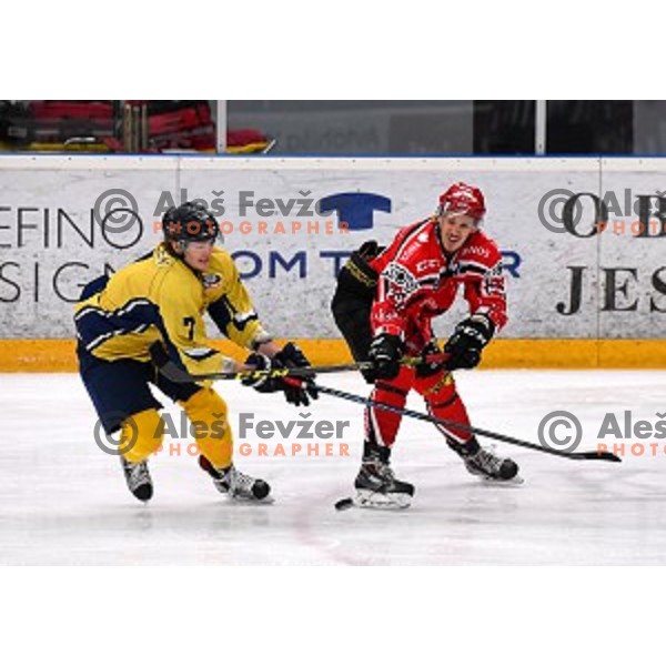 action during semi-final of Slovenian Championship ice-hockey match between SIJ Acroni Jesenice and ECE Celje in Podmezakla Hall, Jesenice, Slovenia on March 25, 2016