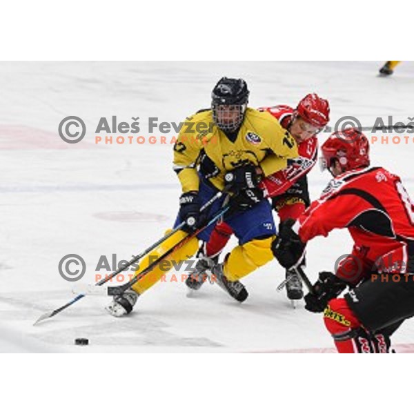 action during semi-final of Slovenian Championship ice-hockey match between SIJ Acroni Jesenice and ECE Celje in Podmezakla Hall, Jesenice, Slovenia on March 25, 2016