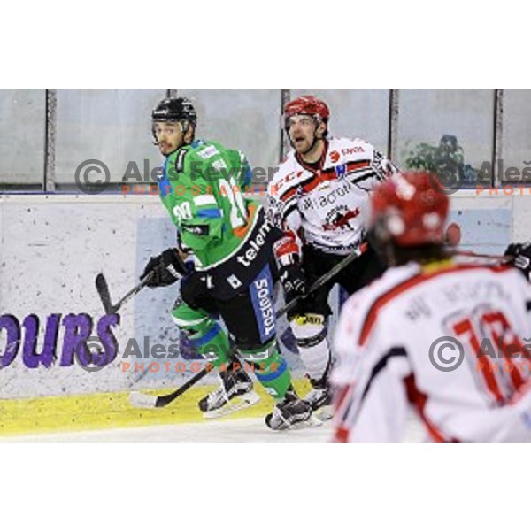 Gregor Koblar and Matevz Erman in action during ice-hockey match Telemach Olimpija - SIJ Acroni Jesenice in the Final of Slovenian Championship, Tivoli Hall, Ljubljana, Slovenia on March 28, 2016