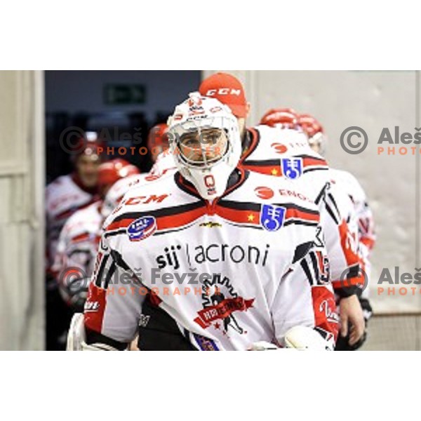 Zan Us in action during ice-hockey match Telemach Olimpija - SIJ Acroni Jesenice in the Final of Slovenian Championship, Tivoli Hall, Ljubljana, Slovenia on March 28, 2016