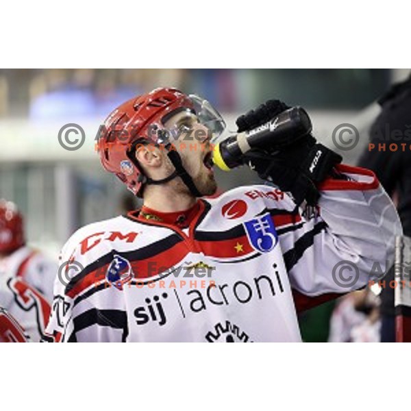 action during ice-hockey match Telemach Olimpija - SIJ Acroni Jesenice in the Final of Slovenian Championship, Tivoli Hall, Ljubljana, Slovenia on March 28, 2016