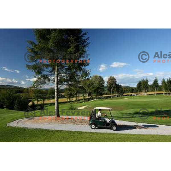 Drive path at second hole at Otocec golf course 
