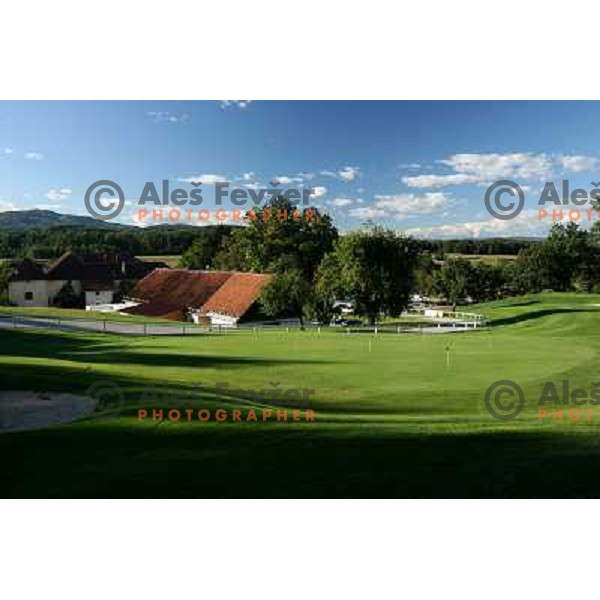 Putting green, Otocec golf course 