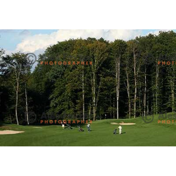 Hole 8, Otocec golf course 