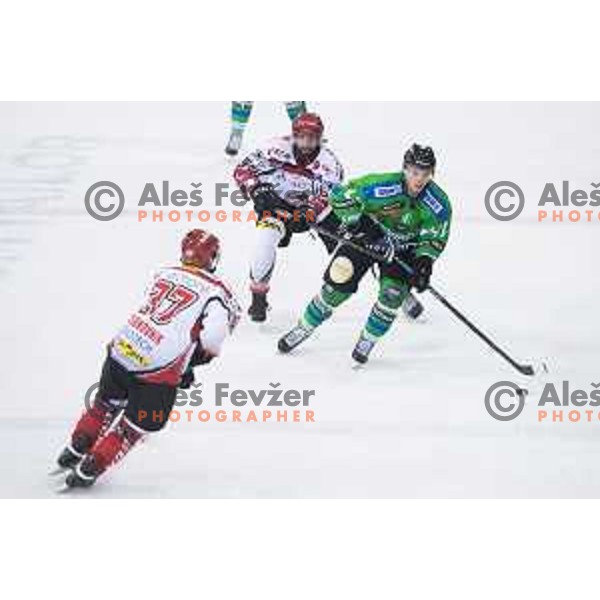 Aljaz Uduc of Telemach Olimpija in action during ice-hockey match Telemach Olimpija - SIJ Acroni Jesenice in the Final of Slovenian Championship, Tivoli Hall, Ljubljana, Slovenia on April 4, 2016