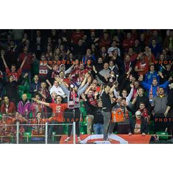 FAns of SIJ Acroni Jesenice during ice-hockey match Telemach Olimpija - SIJ Acroni Jesenice in the Final of Slovenian Championship, Tivoli Hall, Ljubljana, Slovenia on April 4, 2016
