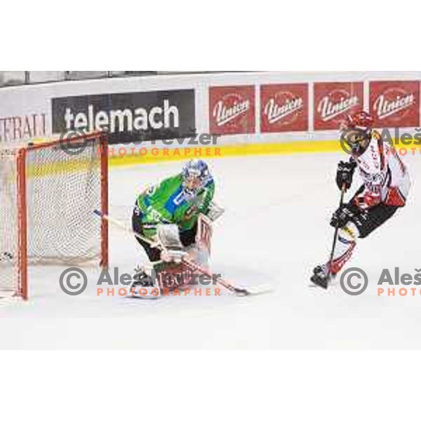 Olivier Roy of Telemach Olimpija and Miha Brus of SIJ Acroni Jesenice in action during ice-hockey match Telemach Olimpija - SIJ Acroni Jesenice in the Final of Slovenian Championship, Tivoli Hall, Ljubljana, Slovenia on April 4, 2016
