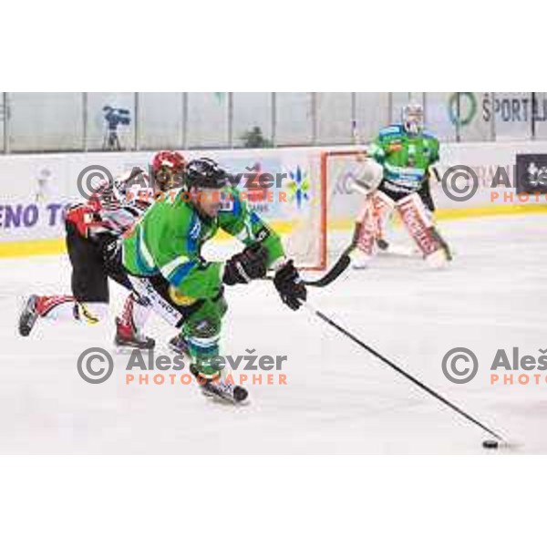 Anze Ropret of Telemach Olimpija and Miha Brus of SIJ Acroni Jesenice in action during ice-hockey match Telemach Olimpija - SIJ Acroni Jesenice in the Final of Slovenian Championship, Tivoli Hall, Ljubljana, Slovenia on April 4, 2016