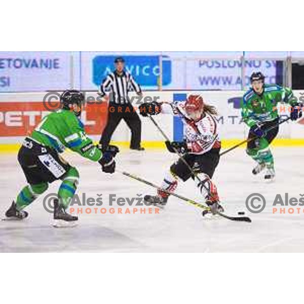 Shane Heffernan of SIJ Acroni jesenice in action during ice-hockey match Telemach Olimpija - SIJ Acroni Jesenice in the Final of Slovenian Championship, Tivoli Hall, Ljubljana, Slovenia on April 4, 2016