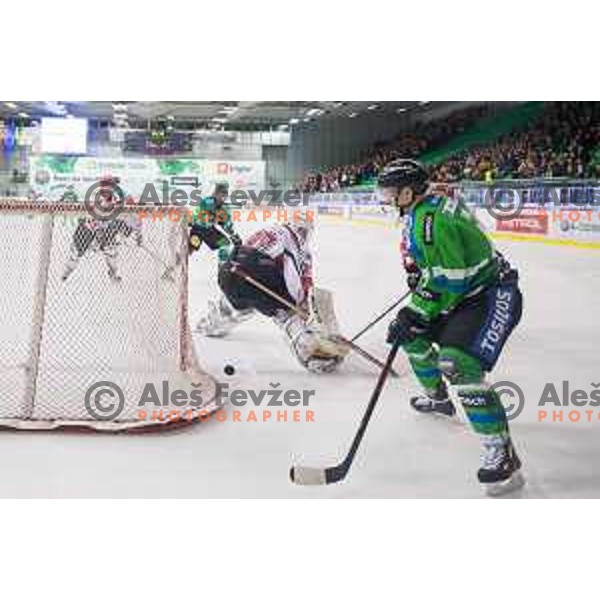 Aljaz Uduc of Telemach Olimpija in action during ice-hockey match Telemach Olimpija - SIJ Acroni Jesenice in the Final of Slovenian Championship, Tivoli Hall, Ljubljana, Slovenia on April 4, 2016