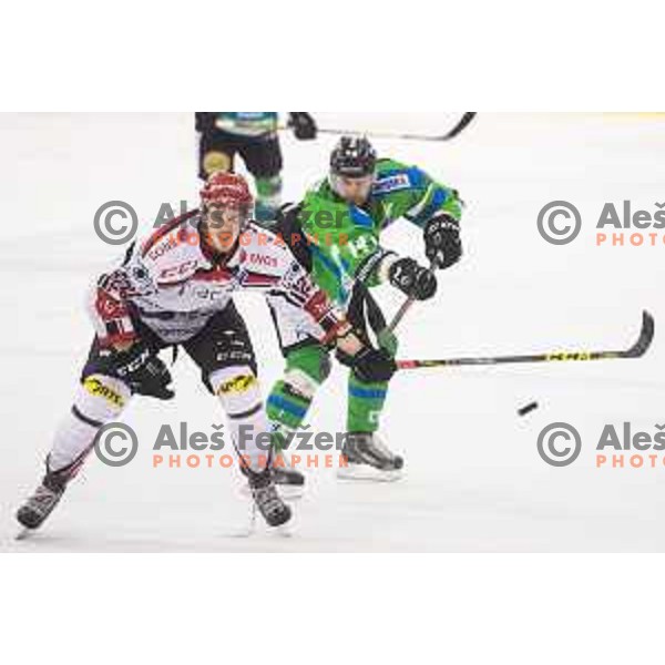 Urban Sodja of SIJ Acroni Jesenice and Matej Hocevar of Telemach Olimpija in action during ice-hockey match Telemach Olimpija - SIJ Acroni Jesenice in the Final of Slovenian Championship, Tivoli Hall, Ljubljana, Slovenia on April 4, 2016