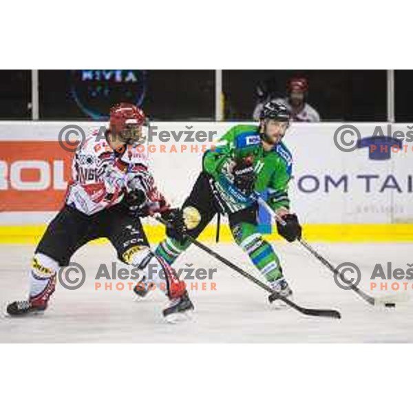 Miha Brus of SIJ Acroni Jesenice and Ziga Pesut of Telemach Olimpija in action during ice-hockey match Telemach Olimpija - SIJ Acroni Jesenice in the Final of Slovenian Championship, Tivoli Hall, Ljubljana, Slovenia on April 4, 2016