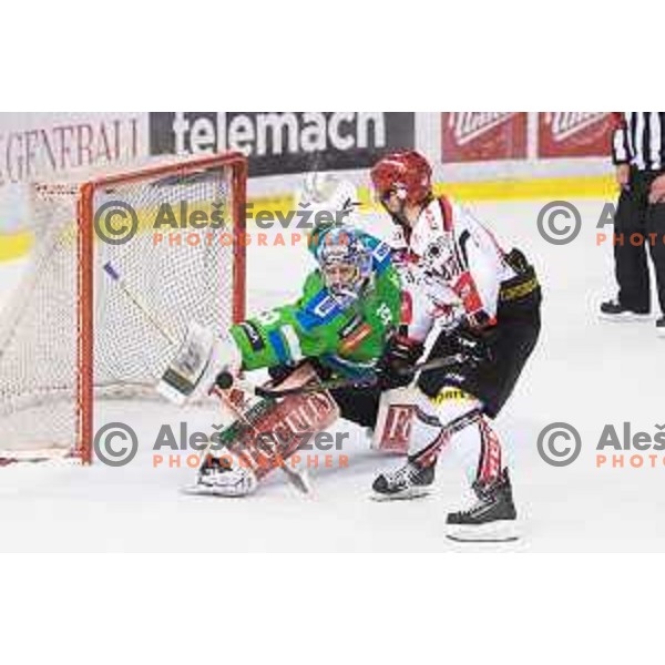 Olivier Roy of Telemach Olimpija and Matevz Erman of SIJ Acroni Jesenice in action during ice-hockey match Telemach Olimpija - SIJ Acroni Jesenice in the Final of Slovenian Championship, Tivoli Hall, Ljubljana, Slovenia on April 4, 2016