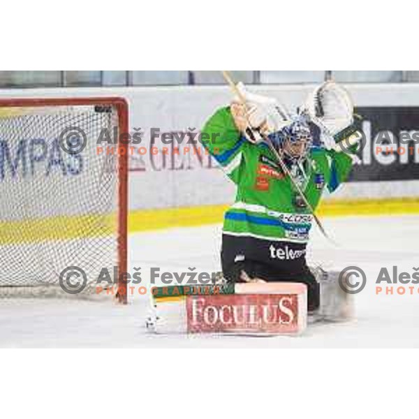 Olivier Roy of Telemach Olimpija in action during ice-hockey match Telemach Olimpija - SIJ Acroni Jesenice in the Final of Slovenian Championship, Tivoli Hall, Ljubljana, Slovenia on April 4, 2016