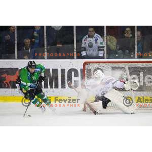 Anze Ropret of Telemach Olimpija and Zan Us of SIJ Acroni Jesenice in action during ice-hockey match Telemach Olimpija - SIJ Acroni Jesenice in the Final of Slovenian Championship, Tivoli Hall, Ljubljana, Slovenia on April 4, 2016
