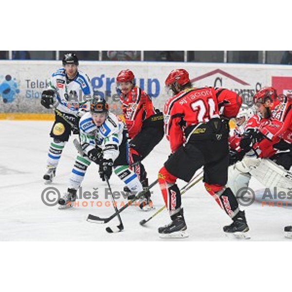 Luka Kalan in action during fourth match of the Final of Slovenian Ice hockey Championship between SIJ Acroni Jesenice and Telemach Olimpija in Podmezakla Hall, Jesenice, Slovenia on April 7, 2016