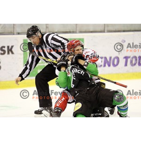 of Telemach Olimpija in action during ice-hockey match Telemach Olimpija - SIJ Acroni Jesenice in the Final of Slovenian Championship, Tivoli Hall, Ljubljana, Slovenia on April 11, 2016