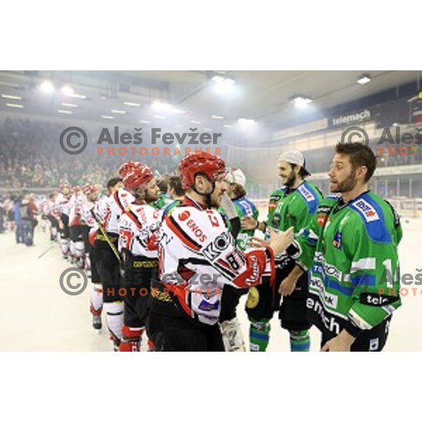 of Telemach Olimpija in action during ice-hockey match Telemach Olimpija - SIJ Acroni Jesenice in the Final of Slovenian Championship, Tivoli Hall, Ljubljana, Slovenia on April 11, 2016