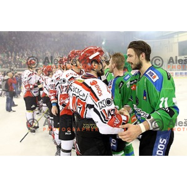 Ziga Pesut of Telemach Olimpija in action during ice-hockey match Telemach Olimpija - SIJ Acroni Jesenice in the Final of Slovenian Championship, Tivoli Hall, Ljubljana, Slovenia on April 11, 2016
