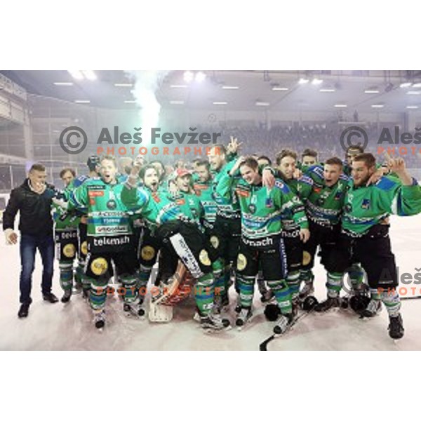 of Telemach Olimpija in action during ice-hockey match Telemach Olimpija - SIJ Acroni Jesenice in the Final of Slovenian Championship, Tivoli Hall, Ljubljana, Slovenia on April 11, 2016