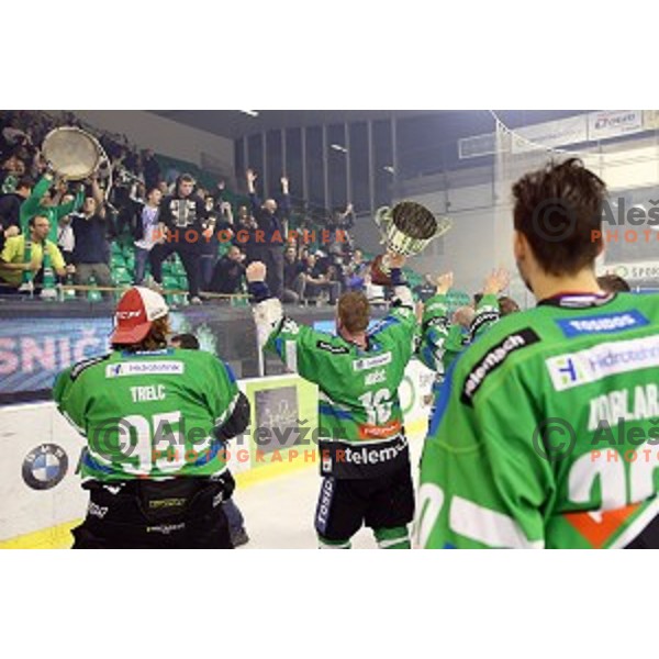 Ales Music of Telemach Olimpija in action during ice-hockey match Telemach Olimpija - SIJ Acroni Jesenice in the Final of Slovenian Championship, Tivoli Hall, Ljubljana, Slovenia on April 11, 2016