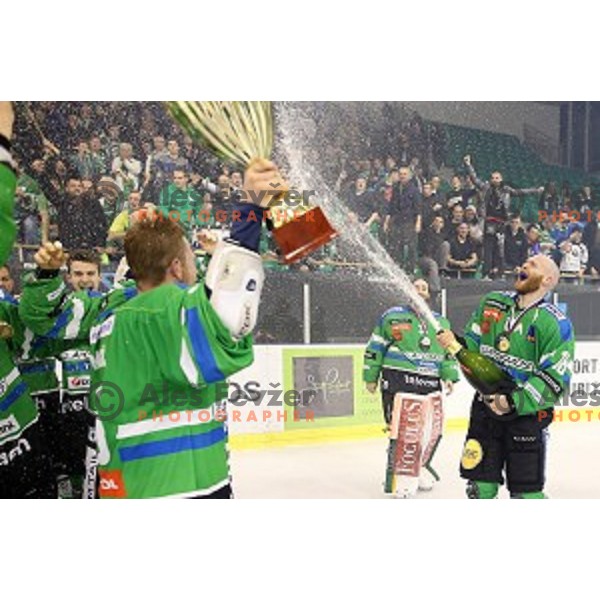 Andrej Tavzelj of Telemach Olimpija in action during ice-hockey match Telemach Olimpija - SIJ Acroni Jesenice in the Final of Slovenian Championship, Tivoli Hall, Ljubljana, Slovenia on April 11, 2016