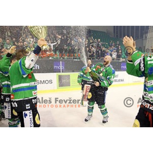 Andrej Tavzelj of Telemach Olimpija in action during ice-hockey match Telemach Olimpija - SIJ Acroni Jesenice in the Final of Slovenian Championship, Tivoli Hall, Ljubljana, Slovenia on April 11, 2016