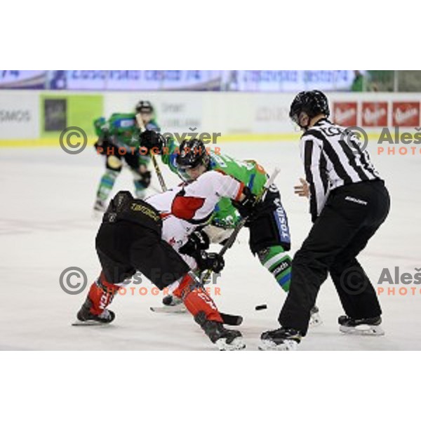 of Telemach Olimpija in action during ice-hockey match Telemach Olimpija - SIJ Acroni Jesenice in the Final of Slovenian Championship, Tivoli Hall, Ljubljana, Slovenia on April 11, 2016