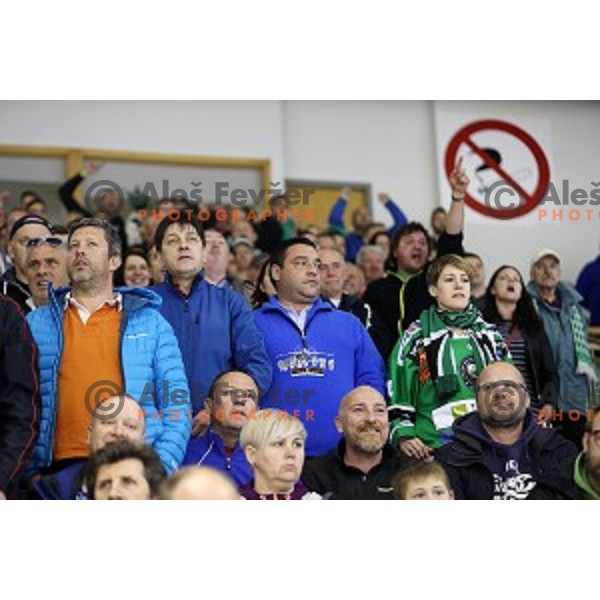 Fans of Telemach Olimpija in action during ice-hockey match Telemach Olimpija - SIJ Acroni Jesenice in the Final of Slovenian Championship, Tivoli Hall, Ljubljana, Slovenia on April 11, 2016