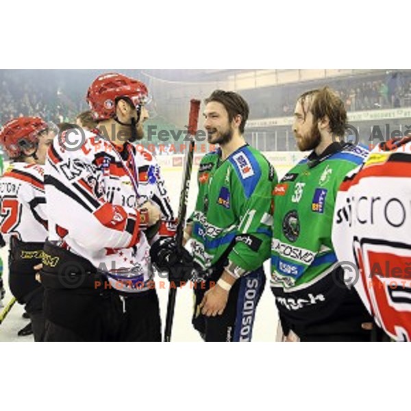 Ziga Pesut of Telemach Olimpija in action during ice-hockey match Telemach Olimpija - SIJ Acroni Jesenice in the Final of Slovenian Championship, Tivoli Hall, Ljubljana, Slovenia on April 11, 2016
