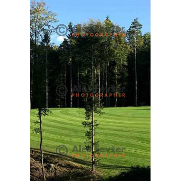 Otocec golf course, fairway of 7th hole 