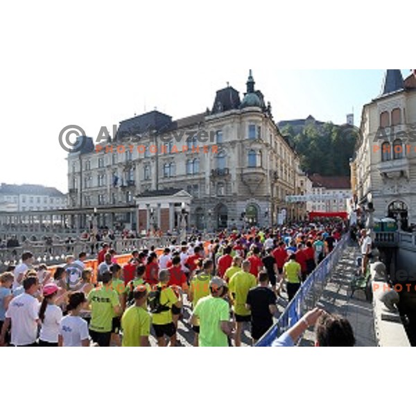 Tek trojk in Pohod ob Zici 2016 , Ljubljana, Slovenia, May 7, 2016