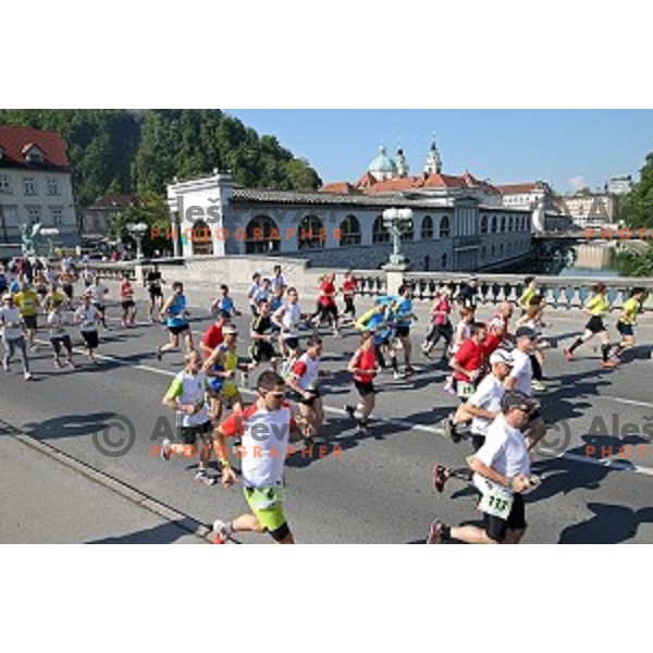 Tek trojk in Pohod ob Zici 2016 , Ljubljana, Slovenia, May 7, 2016