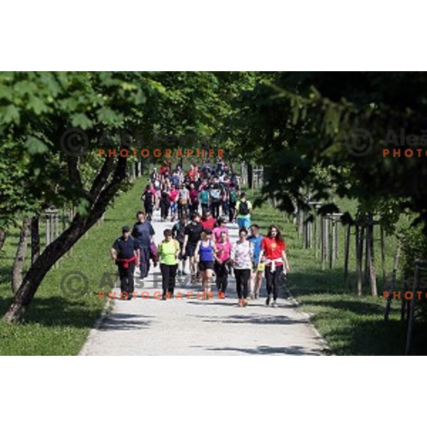 Tek trojk in Pohod ob Zici 2016 , Ljubljana, Slovenia, May 7, 2016