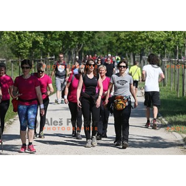 Tek trojk in Pohod ob Zici 2016 , Ljubljana, Slovenia, May 7, 2016