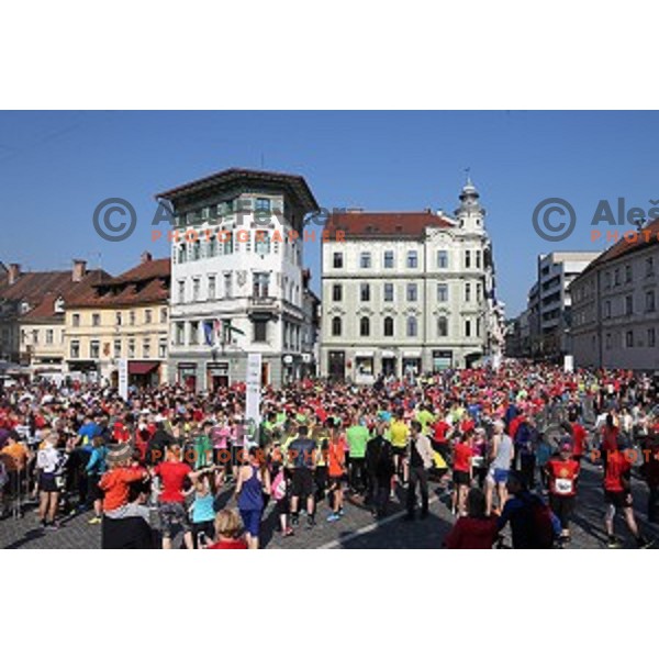 Tek trojk in Pohod ob Zici 2016 , Ljubljana, Slovenia, May 7, 2016