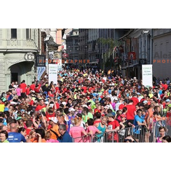 Tek trojk in Pohod ob Zici 2016 , Ljubljana, Slovenia, May 7, 2016