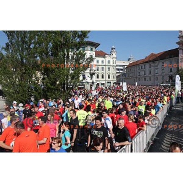 Tek trojk in Pohod ob Zici 2016 , Ljubljana, Slovenia, May 7, 2016