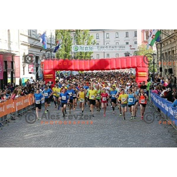 Tek trojk in Pohod ob Zici 2016 , Ljubljana, Slovenia, May 7, 2016