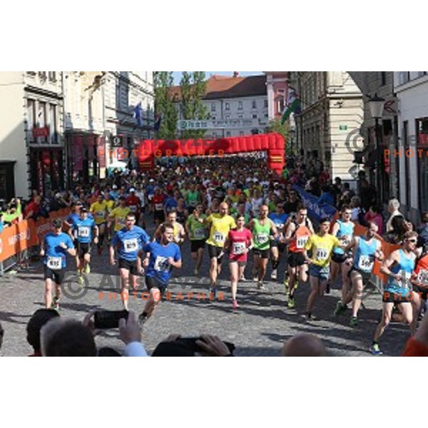 Tek trojk in Pohod ob Zici 2016 , Ljubljana, Slovenia, May 7, 2016