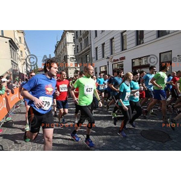 Tek trojk in Pohod ob Zici 2016 , Ljubljana, Slovenia, May 7, 2016